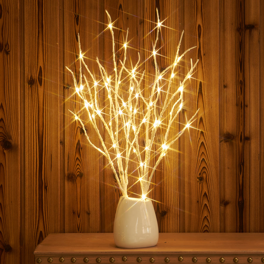  Lighted Branches 18IN 70 Warm White LED with Timer Twig Lights Battery Operated - HAIRUI