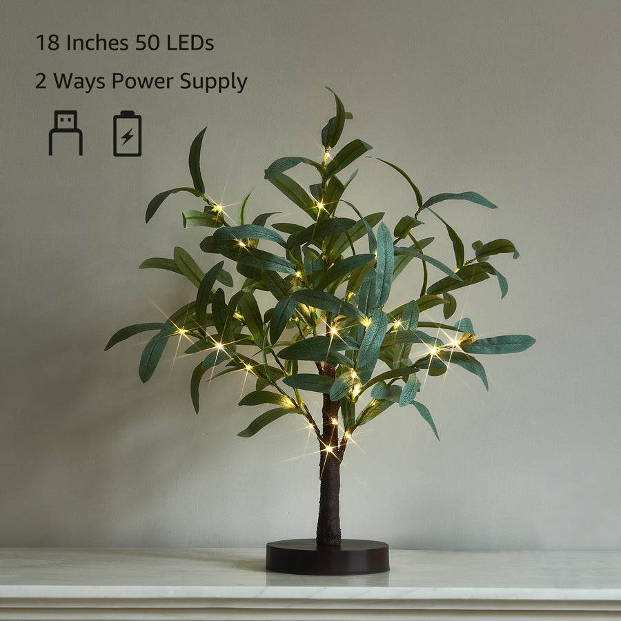 Lighted Tabletop Olive Tree 18IN 50 LED with Timer Artificial Greenery Battery Operated for Wedding Party Holiday Christmas Decoration - HAIRUI